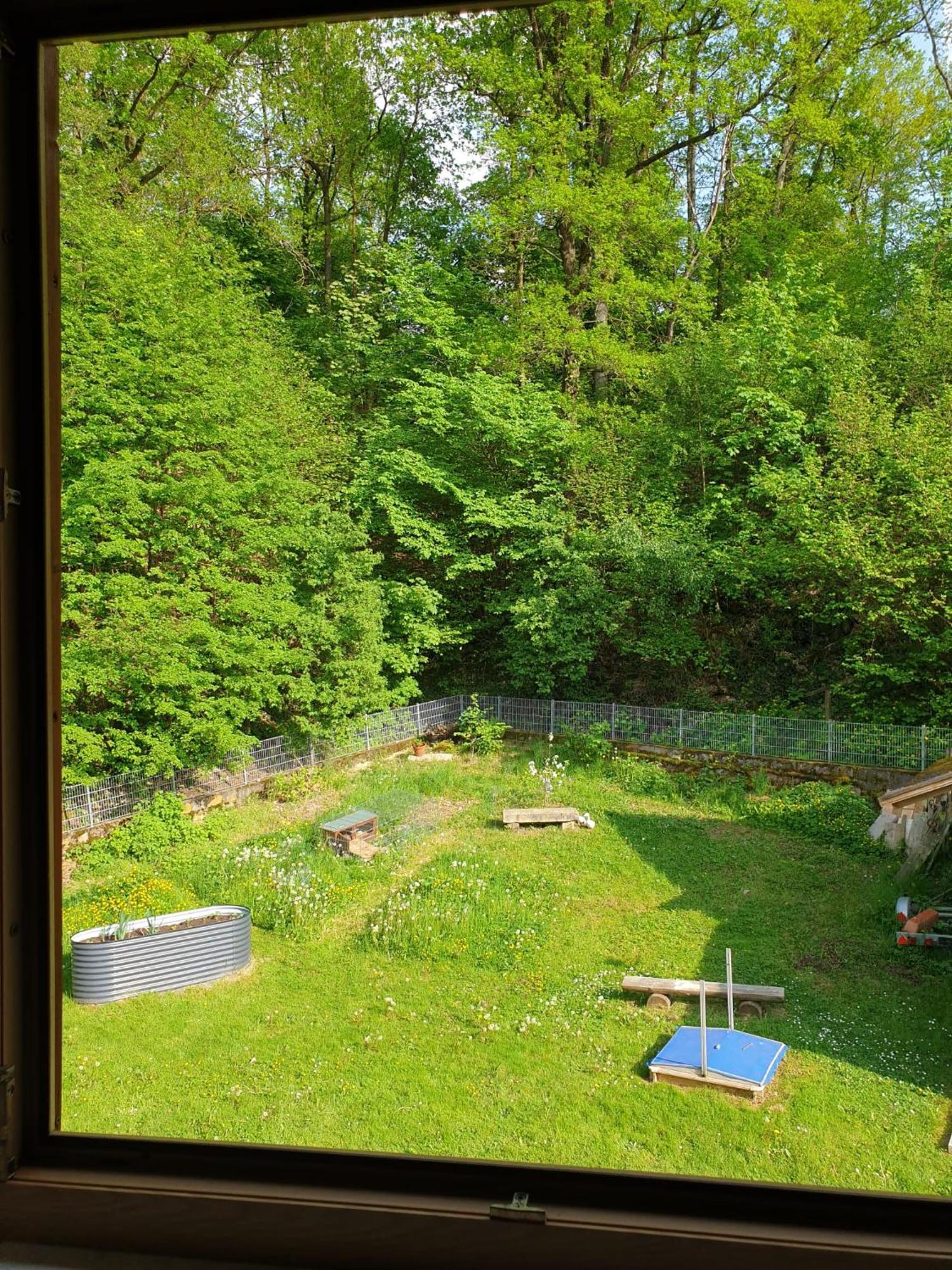 Ferienwohnung Und Sommerhaus Unter Der Burg Falkenberg  Kültér fotó